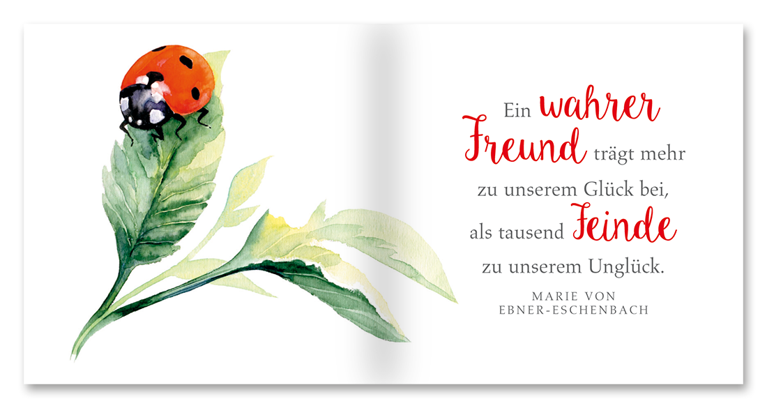 Viel Glück Geschenkbuch